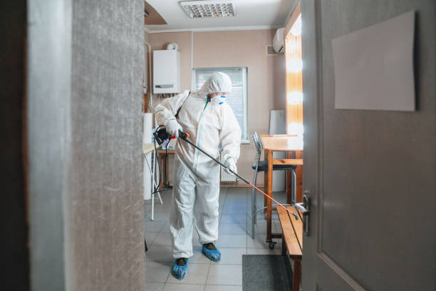 Best Residential Mold Inspection & Testing  in Dimmitt, TX